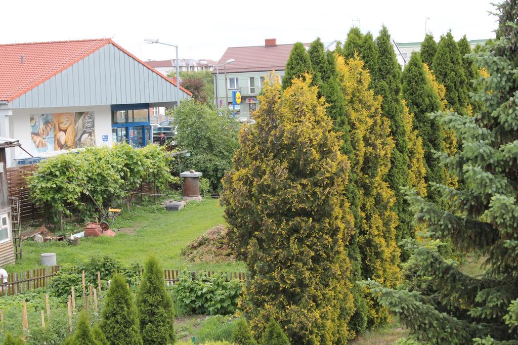 Apartament U Marzenki Augustów Esterno foto